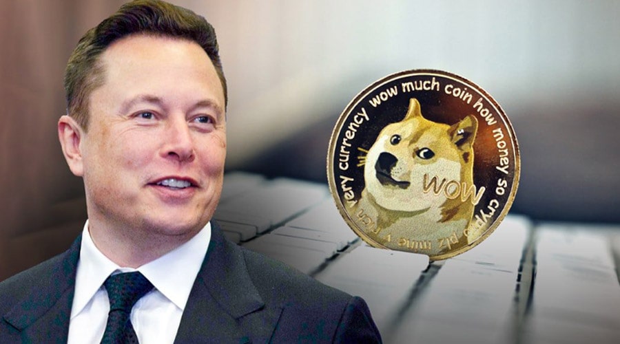 elon-musk-doge-site-goes-live-sharing-key-plans-ahead