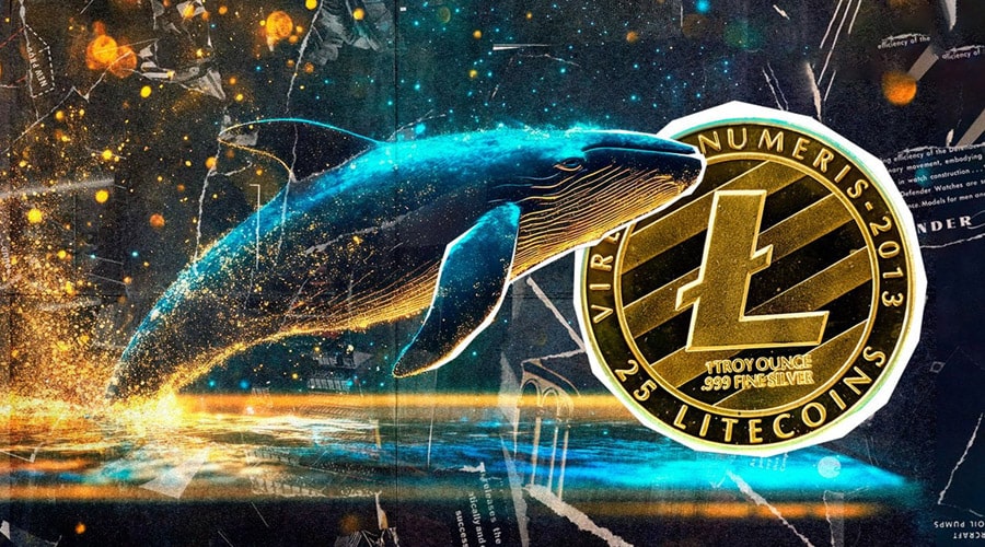 litecoin-whales-on-buying-spree-sack-930k-coins-amid-ltc-etf-buzz-whats-next