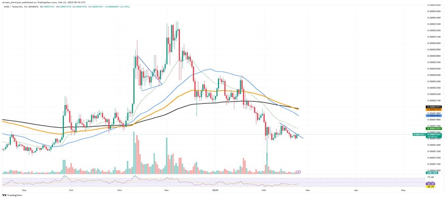 shiba-inu-shib-whales-finally-back-90-inflows-surge