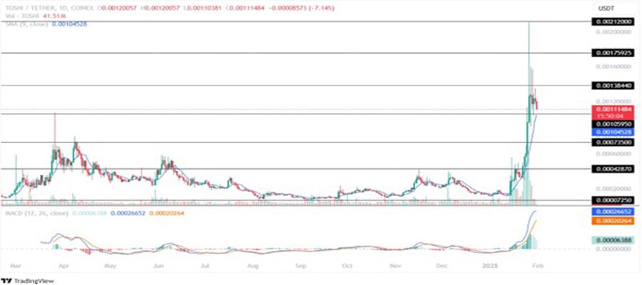 top-memecoins-profit-end-of-februar