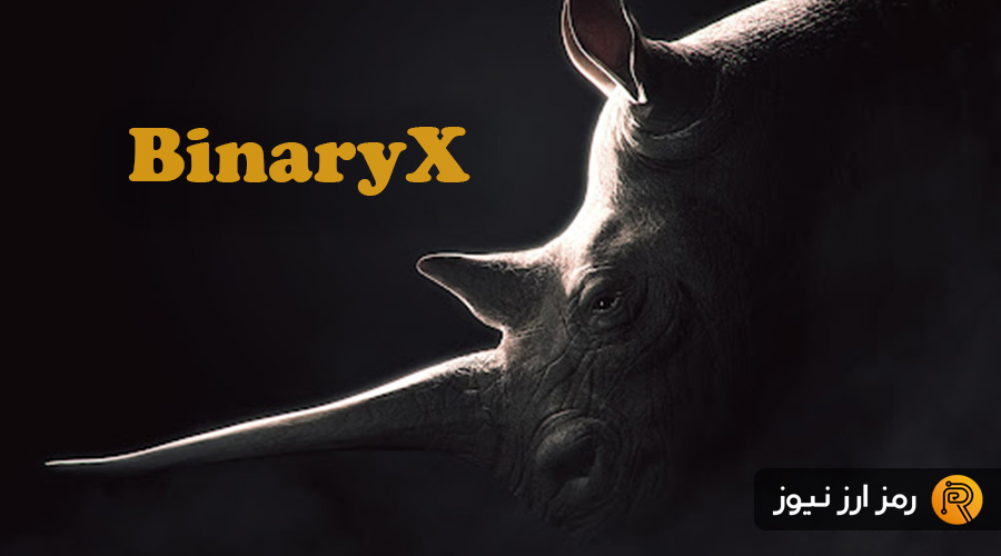 what is BinaryX BNX