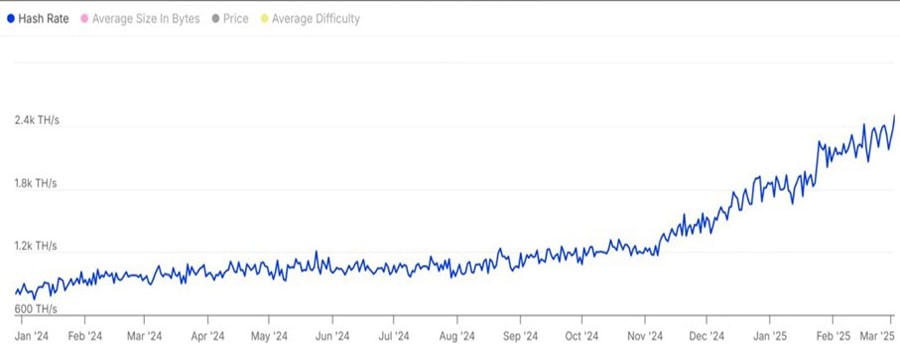 altcoins-could-add-crypto-strategic-list-