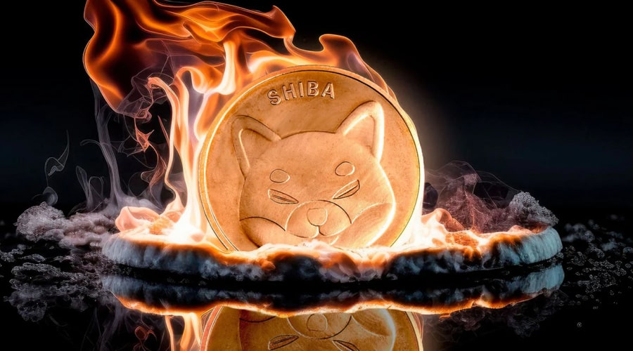 shiba-inu-burn-update-99-44-daily-burn-crash-could-spell-trouble-for-meme-coin