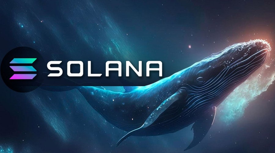 solana-sol-whales-capitulate-heres-how-much-will-be-sold-r