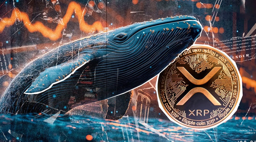 xrp-whales-accumulation-could-set-price-up-for-rally