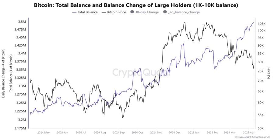 bitcoin-whales-have-been-buying-like-never-before-analyst