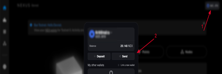 ایردراپ نکسوس
