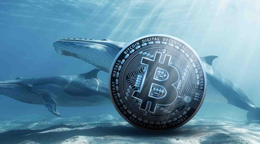 bitcoin-whales-keep-buying-btc-price-dip-targets-include-94k
