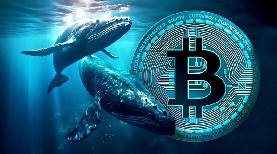 can-bitcoin-whales-push-price-u