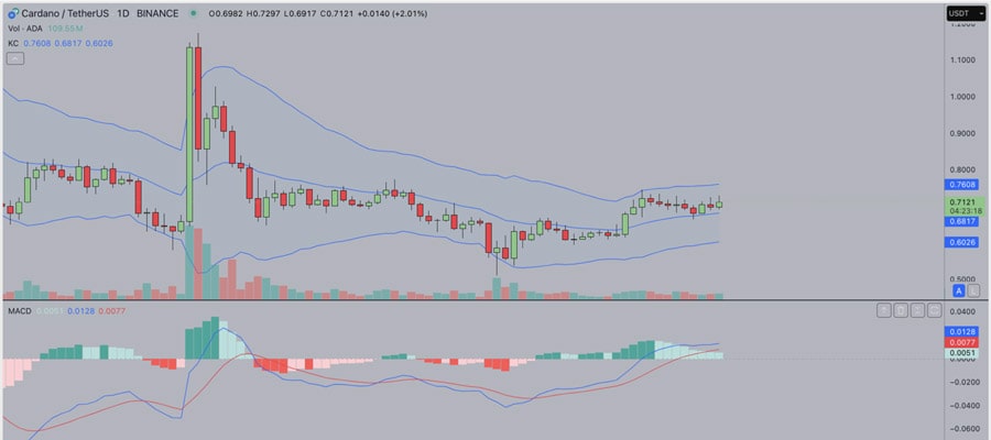 cardano-rivals-to-watch-if-charles-hoskinsons-latest-ai-update-delivers-100-profits-