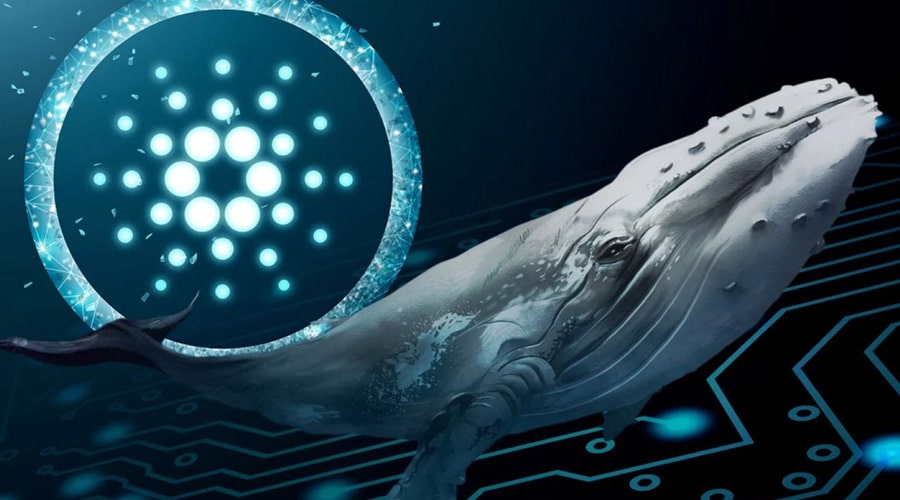 cardano-whale-volatility-ada-potential-death-cross-