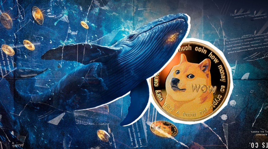 dogecoin-doge-whales-accumulate-1-billion-doge-amid-critical-support-formation
