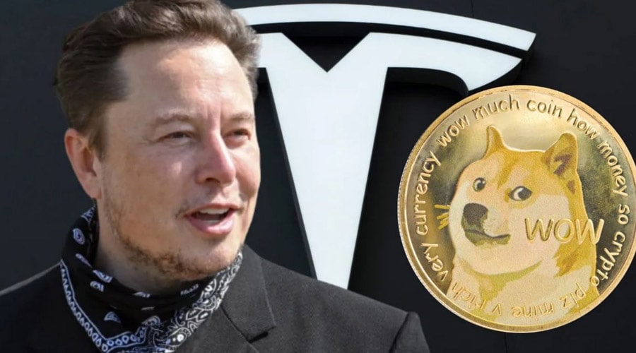 dogecoin-unfazed-as-elon-musk-rubbishes-report-of-his-exit-from-tesl-