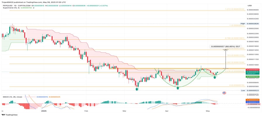 pepe-coin-price-eyes-60-rally-as-whales-load-up-24t-pepe