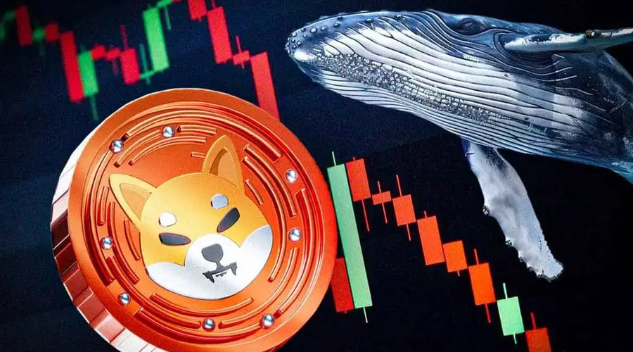 shiba-inu-coin-price-dips-6-but-whale-moves-bullish-pattern-hint-at-0-000045-breakout-