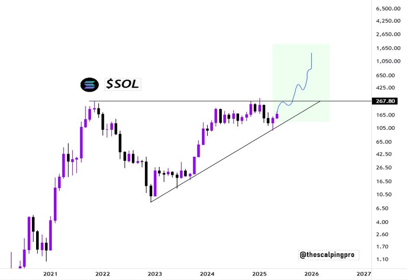 solana-q1-review-revenue-jumps