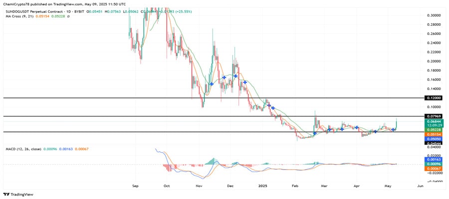 sundogs-204-volume-spike-whats-behind-this-short-squeeze-mania