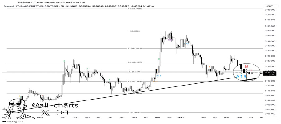 surge-for-dogecoin-heres-what-needs-to-happen-analyst