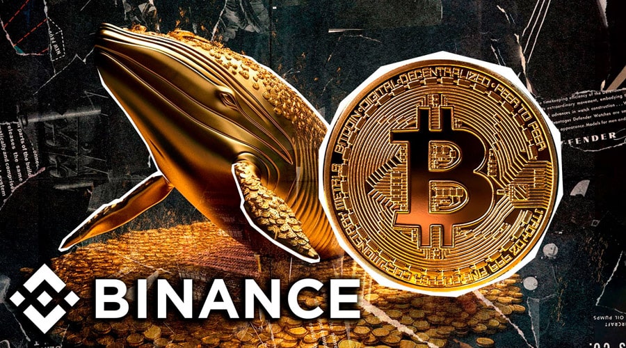 binance-coin-eyes-900-target-as-exchange-activity-and-whale-moves-spik