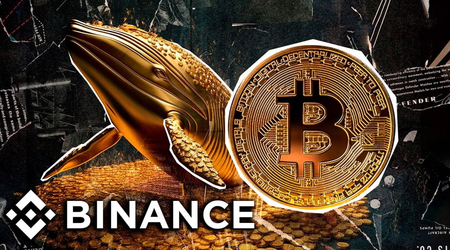 binance-whales-signal-bullish-stance-amidst-bitcoins-100000-hold-