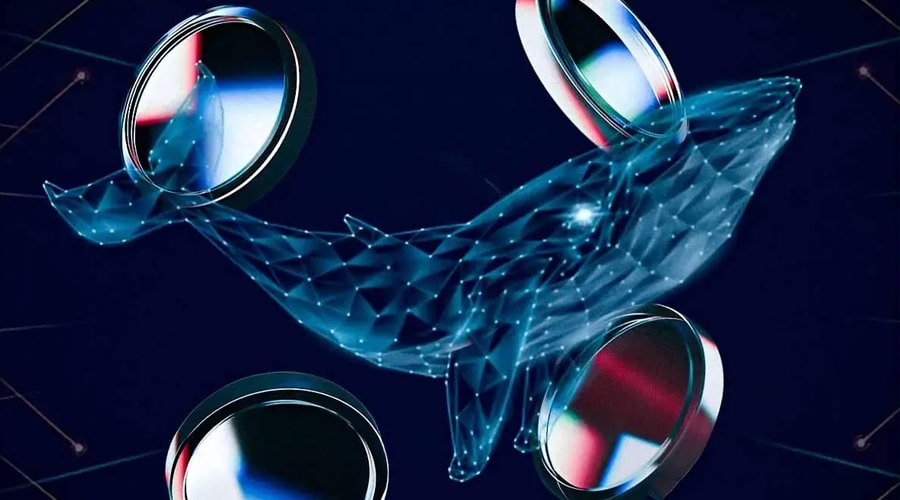 crypto-whales-bought-these-altcoins-4th-week-june