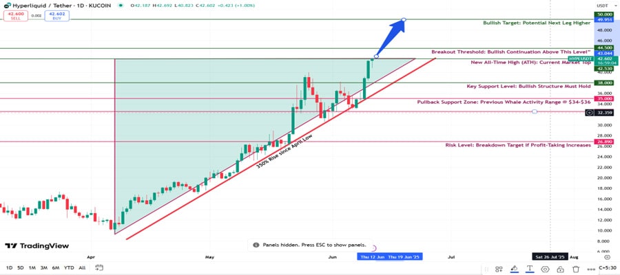 hyperliquid-hype-breaks-new-ath-as-whales-fuel-rally-can-bulls-push-beyond-50-