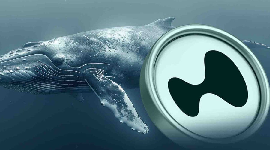hyperliquid-hype-breaks-new-ath-as-whales-fuel-rally-can-bulls-push-beyond-50