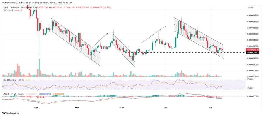 shiba-inu-price-forecast-what-383k-liquidation-means-for-shib-traders