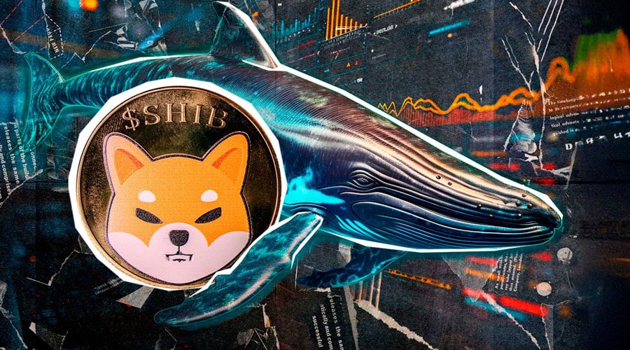shiba-inu-risks-18-drop-but-whales-keep-buying-what-do-they-know