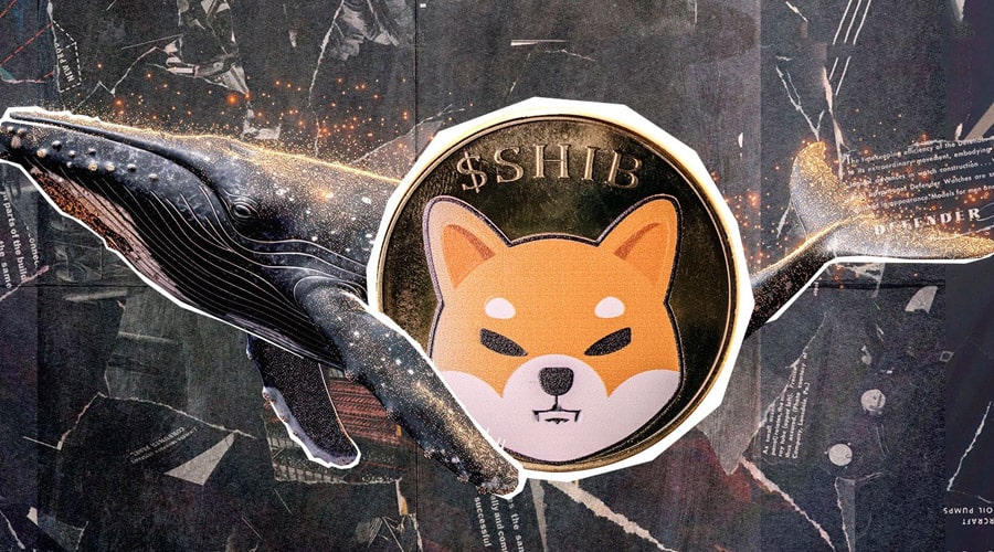 shiba-inu-whale-accumulation-inside-week