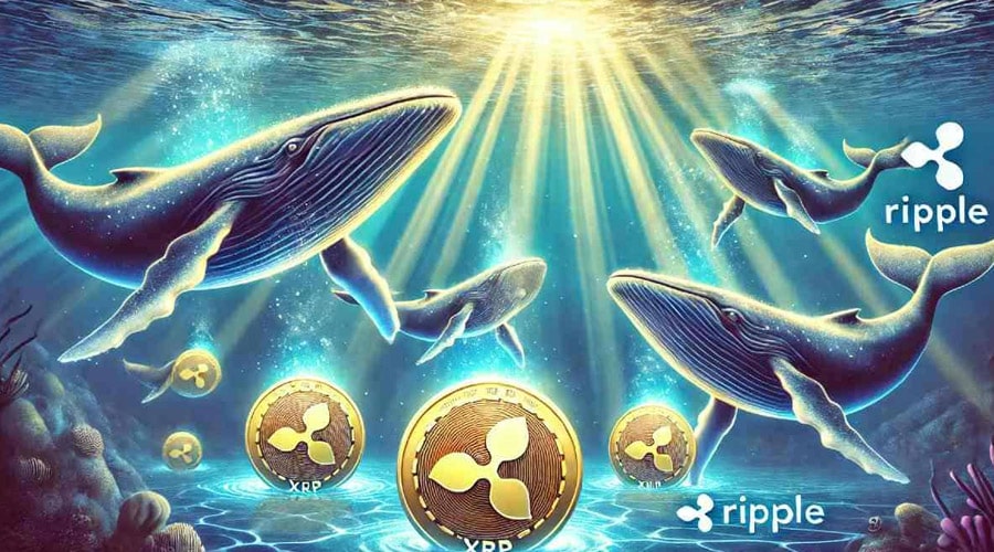 xrp-whales-accumulate-quietly-as-price-eyes-breakout