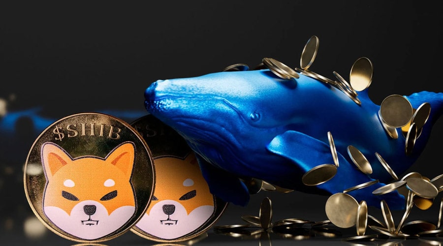 shiba-inu-shib-whales-taking-full-control-ramzarz-