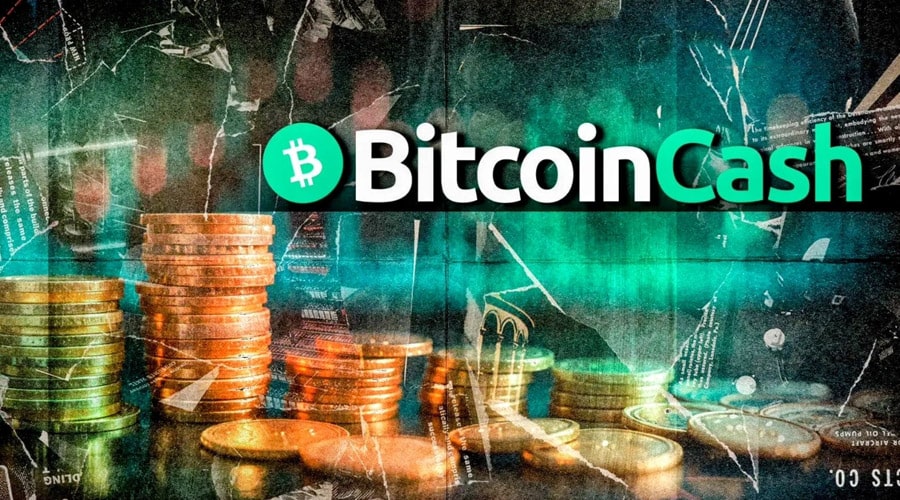 bch-outperforms-btc-can-bitcoin-cash-continue-its-bull-run-beyond-600