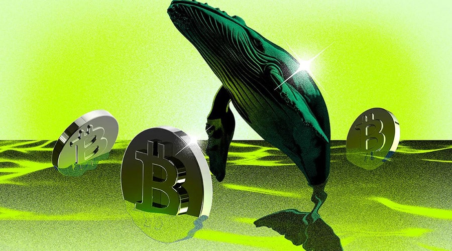 bitcoin-whale-selloff-altcoin-season-r