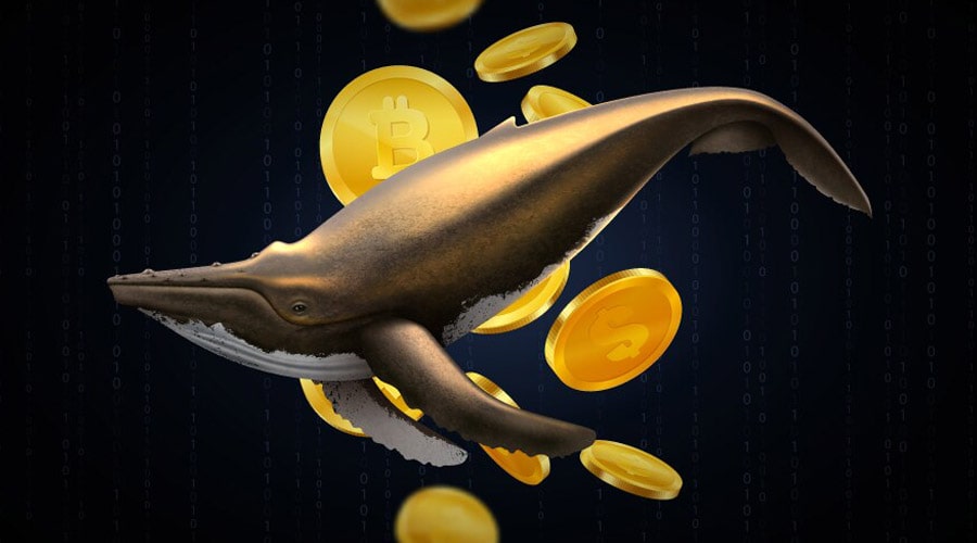 crypto-whales-buying-ahead-of-july-fomc-