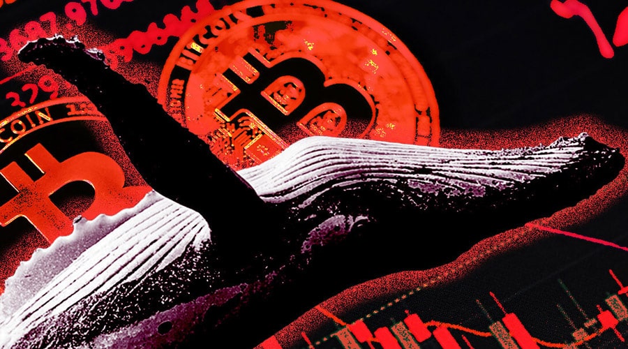 crypto-whales-strategies-behavior-
