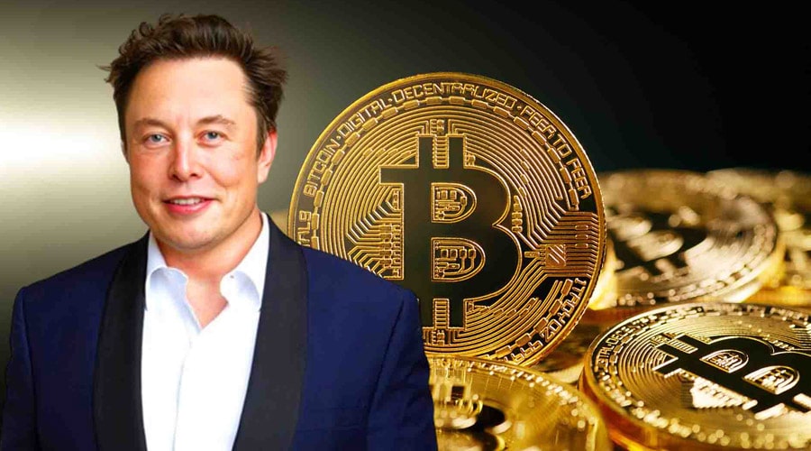 elon-musk-overtakes-trump-as-cryptos-most-influential-voice-how-he-got-there-
