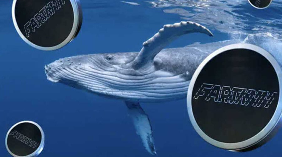 fartcoin-loses-8-4-mln-to-whale-exits-can-buyers-hold-on-to-the-1-support