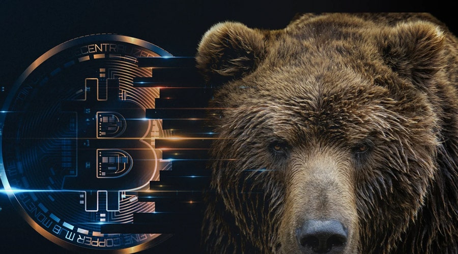 four-year-bitcoin-cycle-not-dead-xapo-ceo