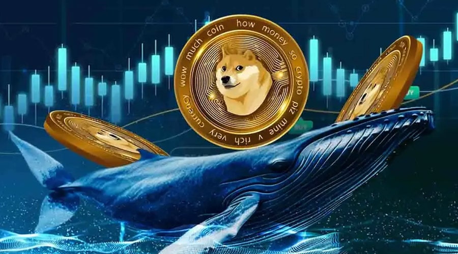 retail-selloff-whale-accumulation-doge-price-at-a-crossroad-