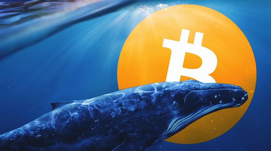 satoshi-era-bitcoin-whale-moves-another-242-billion-whats-happening-