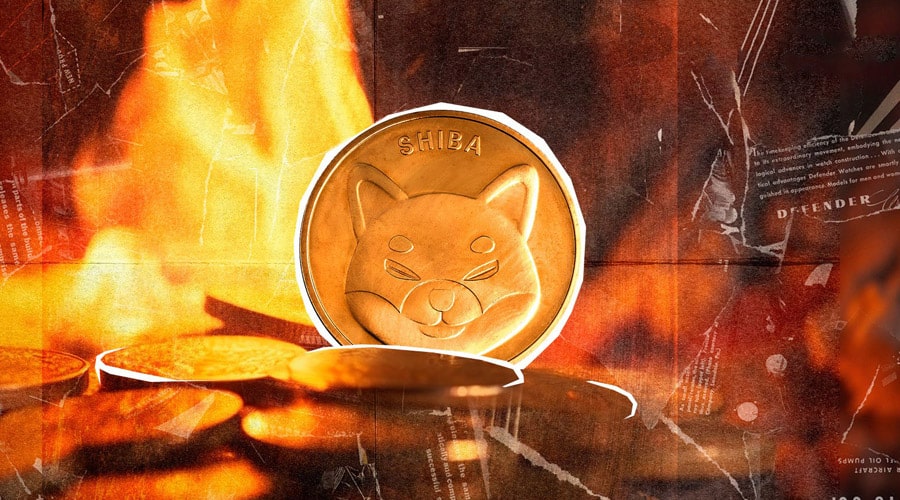 shib-burns-skyrocket-116757-whats-happening