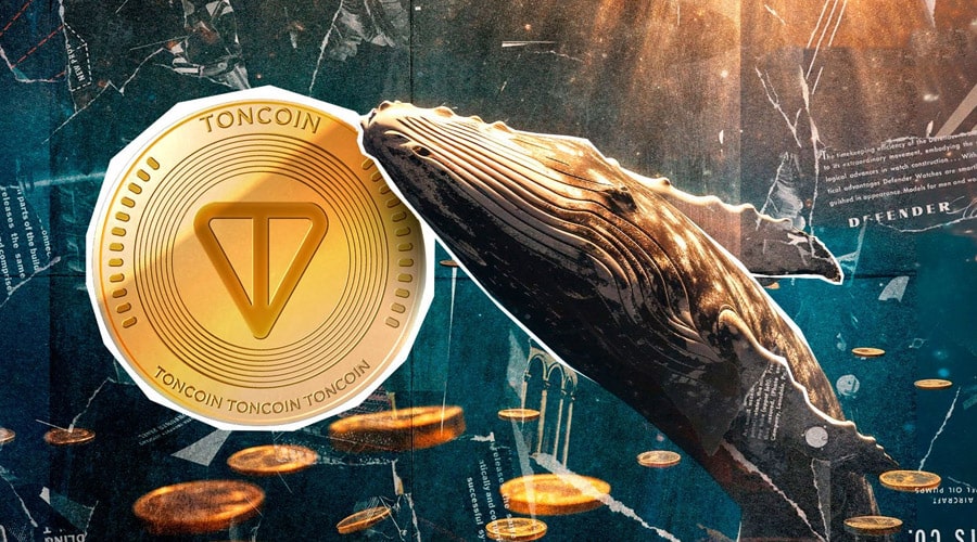 toncoin-can-a-42-hike-in-whale-inflows-propel-ton-to-3-28