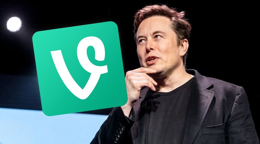whales-accumulate-vine-holders-100000