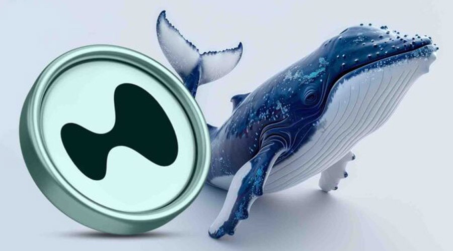 whales-quietly-accumulate-hype-as-retail-shorts-spike