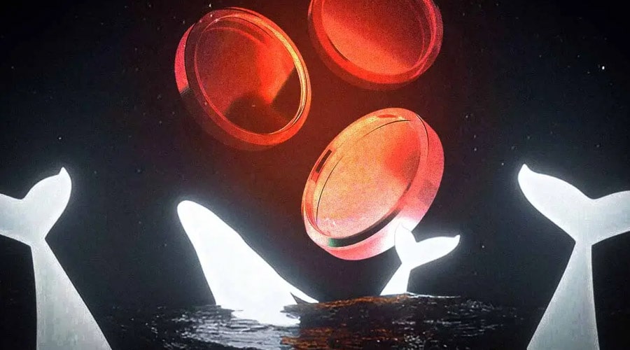 what-crypto-whales-are-buying-after-successful-us-crypto-week