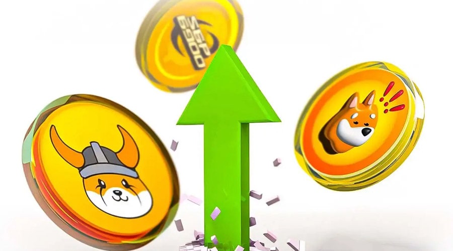 why-meme-coins-like-floki-bonk-and-spx6900-are-surging-today