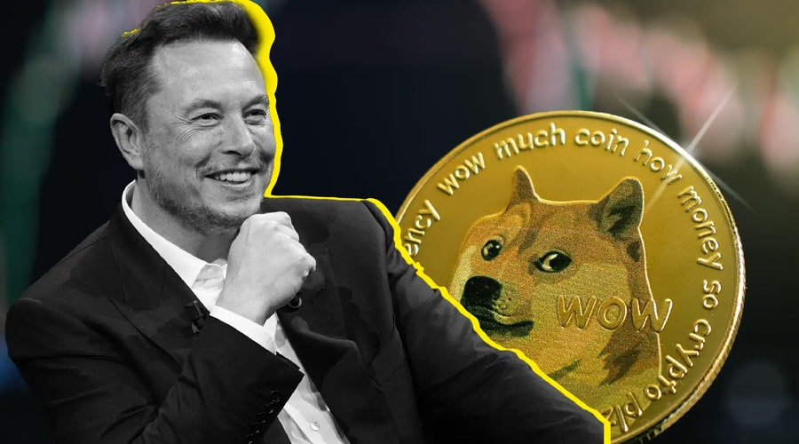 million-dogecoin-treasury-elon-musk-aid-makes-big-move-