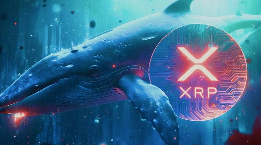 xrp-offloaded-by-whales-whats-next-for-ripples-price-ramzarz-