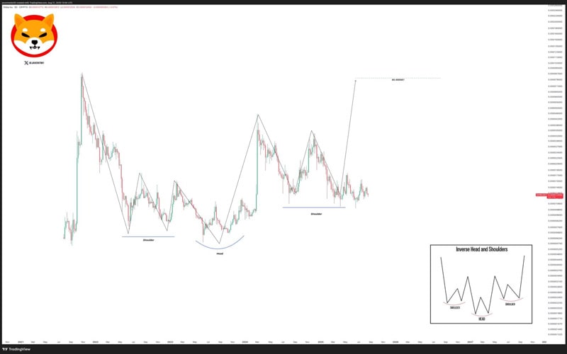 analyst-eyes-540-surge-for-shiba-inu-price-despite-low-on-chain-activity-can-it-happen